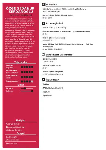 Acil Tıp Teknisyeni CV Örnekleri cv indir